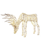 Winward Deer Looking Down With Lights