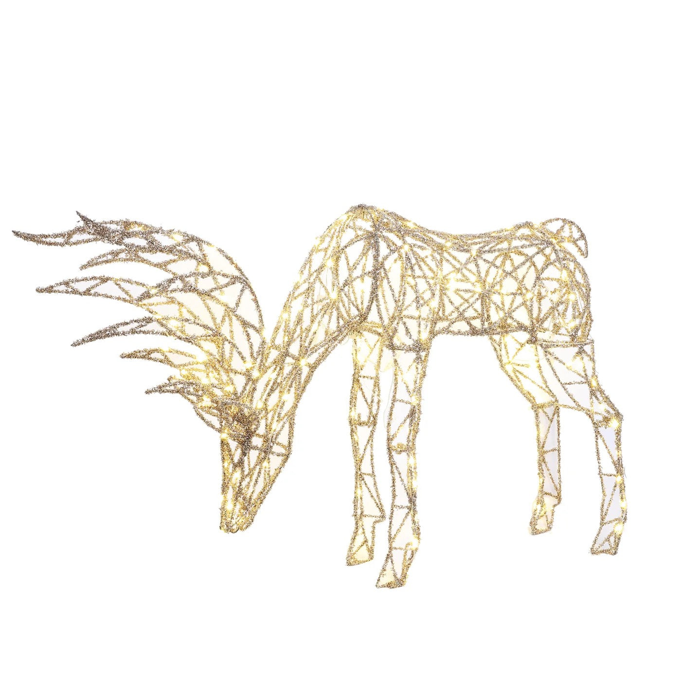 Winward Deer Looking Down With Lights