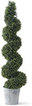 Boxwood Spiral Topiary