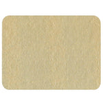 Caspari Lizard Felt-Backed Rectangle Placemat Rectangle - 1 Each