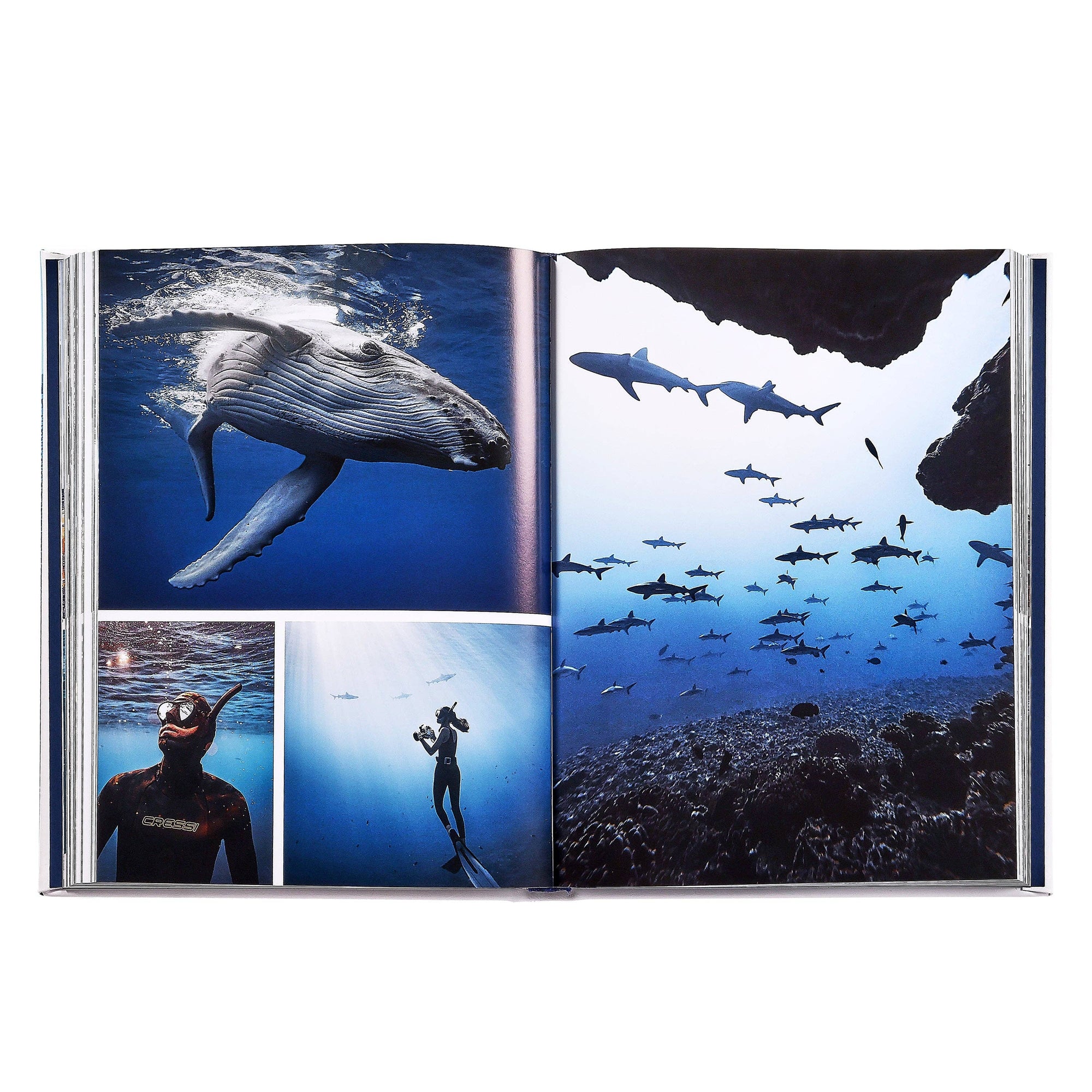 Graphic Image Inc. - Boatlife: Exploring the Freedom of Maritime Living