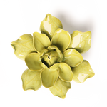 Chive English Garden Chartreuse Columbine