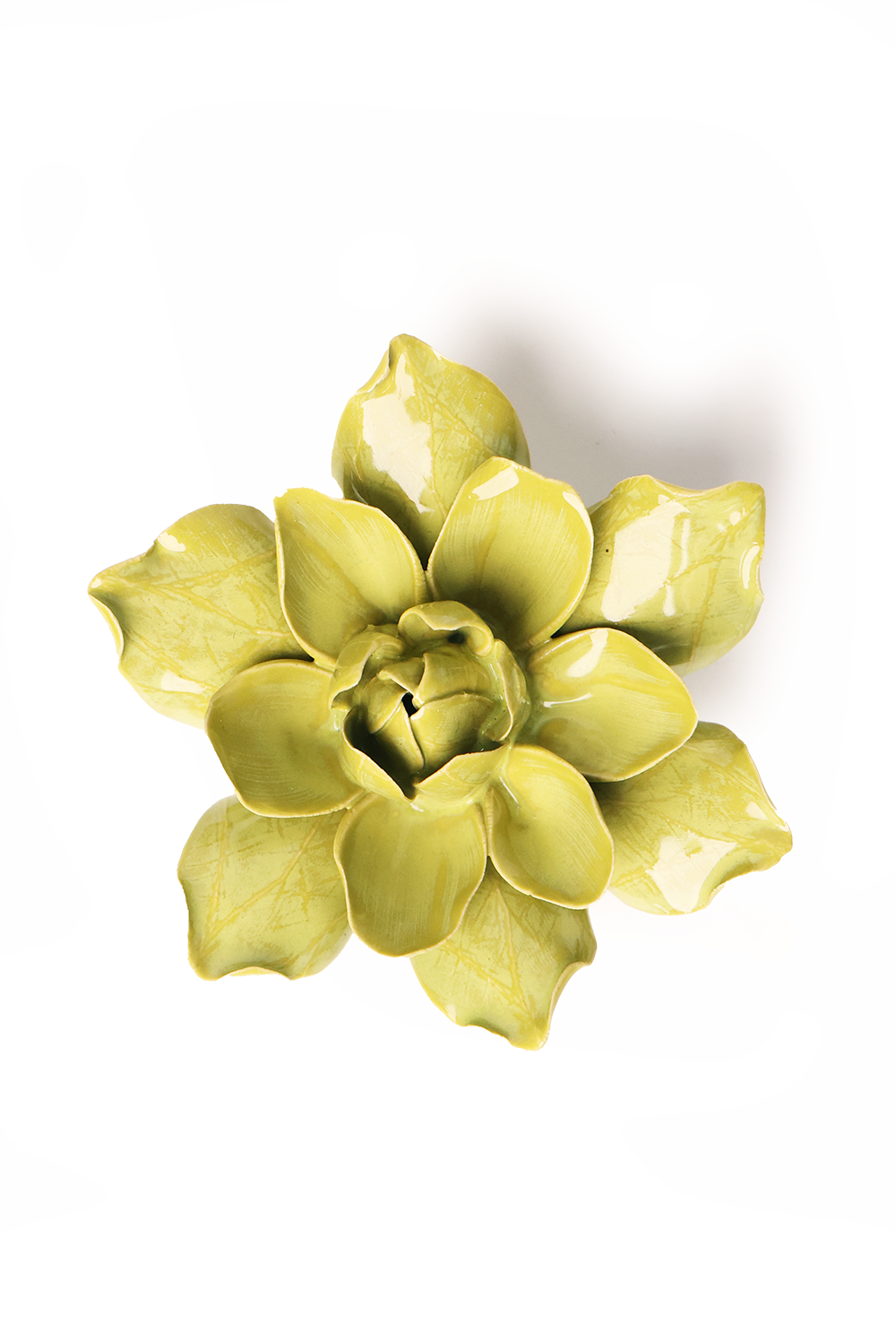 Chive English Garden Chartreuse Columbine