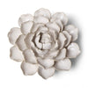 Chive Ivory Empire Cabbage Flower