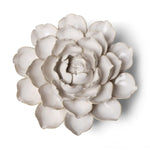 Chive Ivory Empire Cabbage Flower