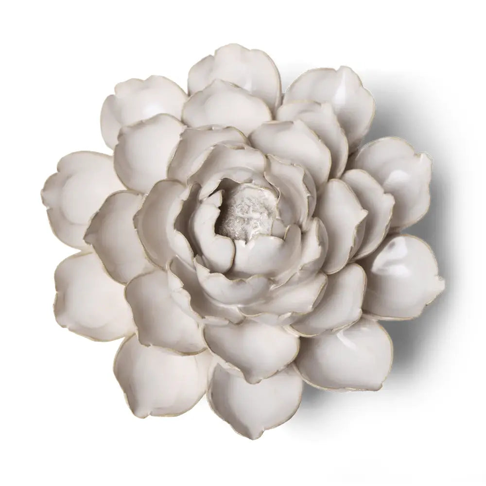 Chive Ivory Empire Cabbage Flower