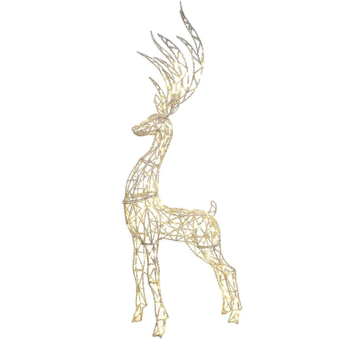 Winward Deer Standing With Lights