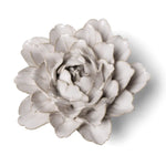 Chive Ivory Comanche Peony