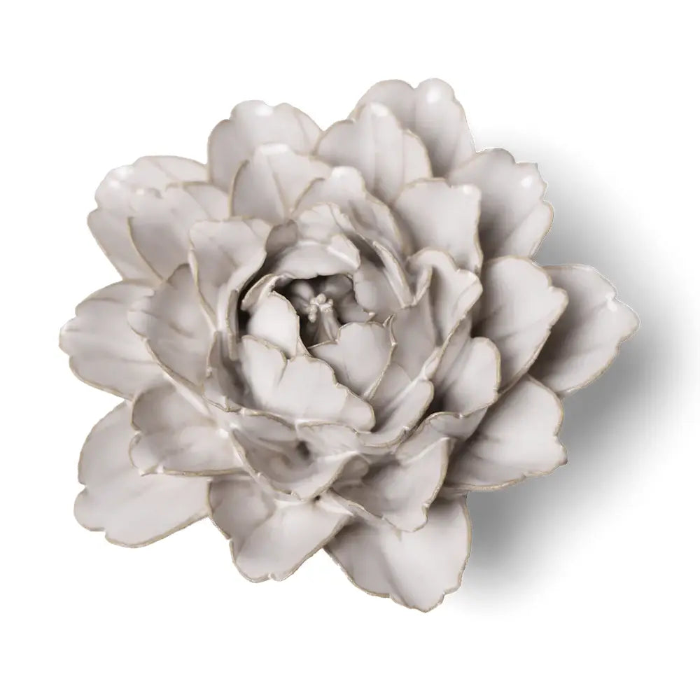 Chive Ivory Comanche Peony