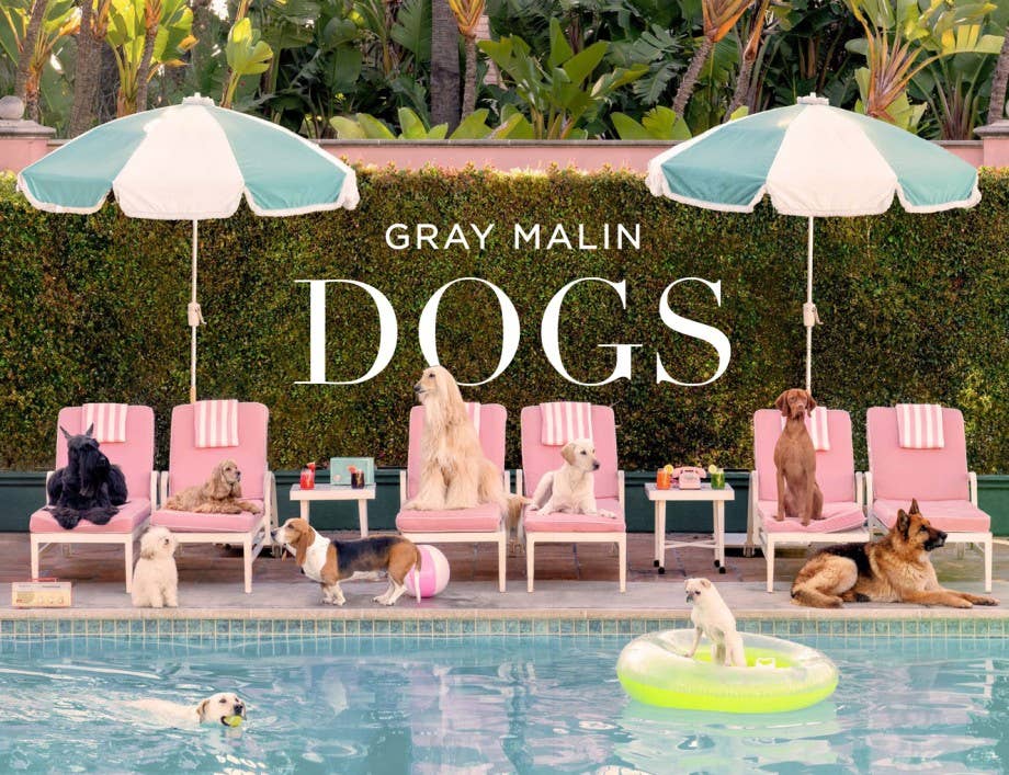 Abrams - Gray Malin: Dogs