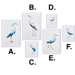 Blue Heron Gallery Print