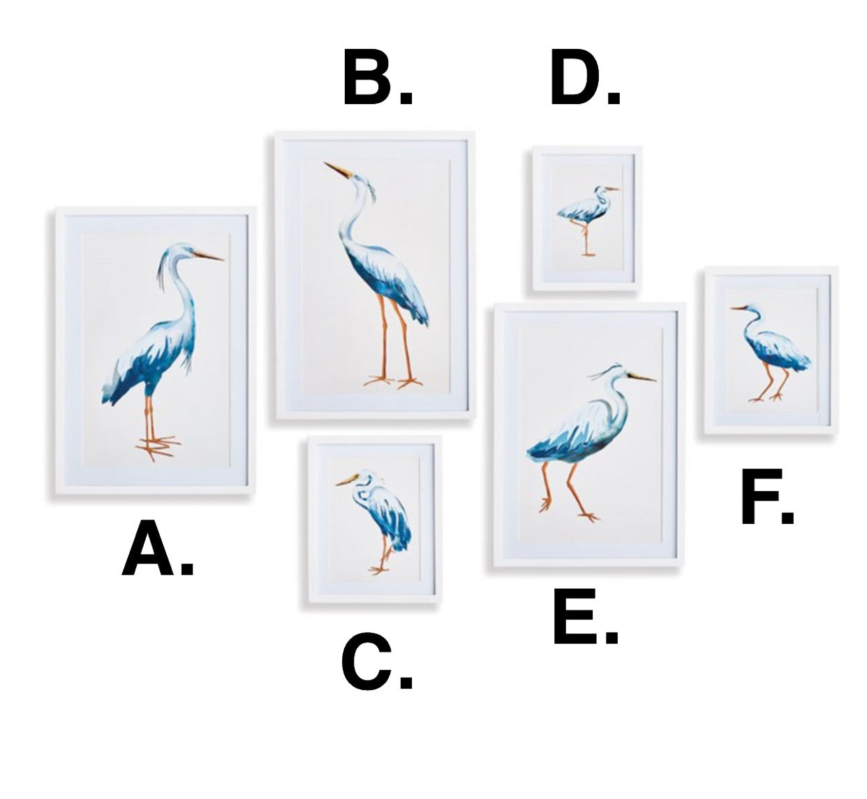 Blue Heron Gallery Print