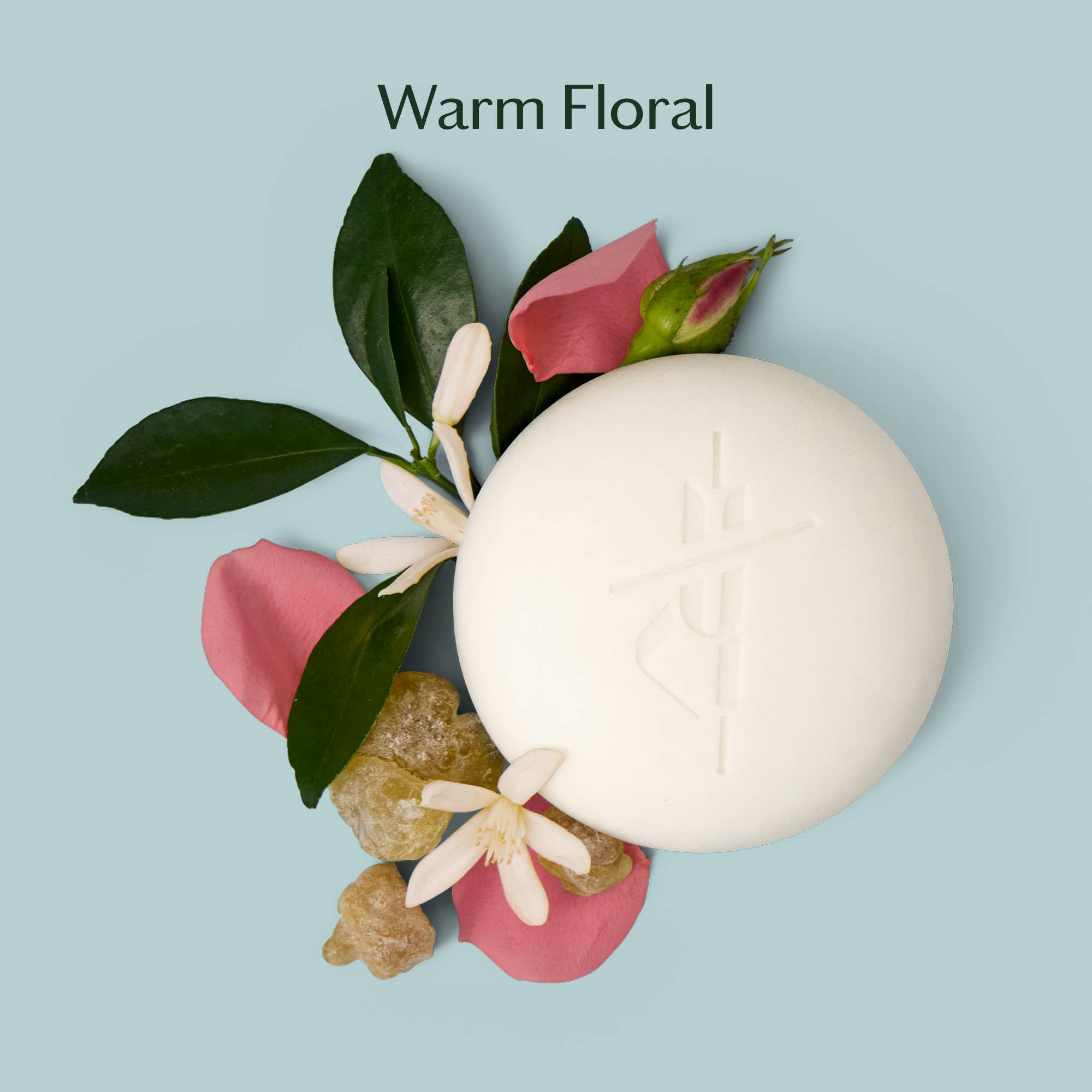 Kate McLeod - Daily Stone | Deep Moisturizing Lotion Bar