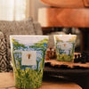 Baobab Candle Sacred Trees Candle Max 10