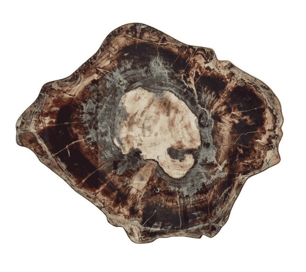 Kim Seybert Fossil Placemat in Brown & Multi