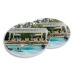 Toss Designs - Ceramic Coasters (Set of 4) - Pool Dogs