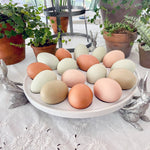 Vagabond House - Rabbit Deviled Egg Holder