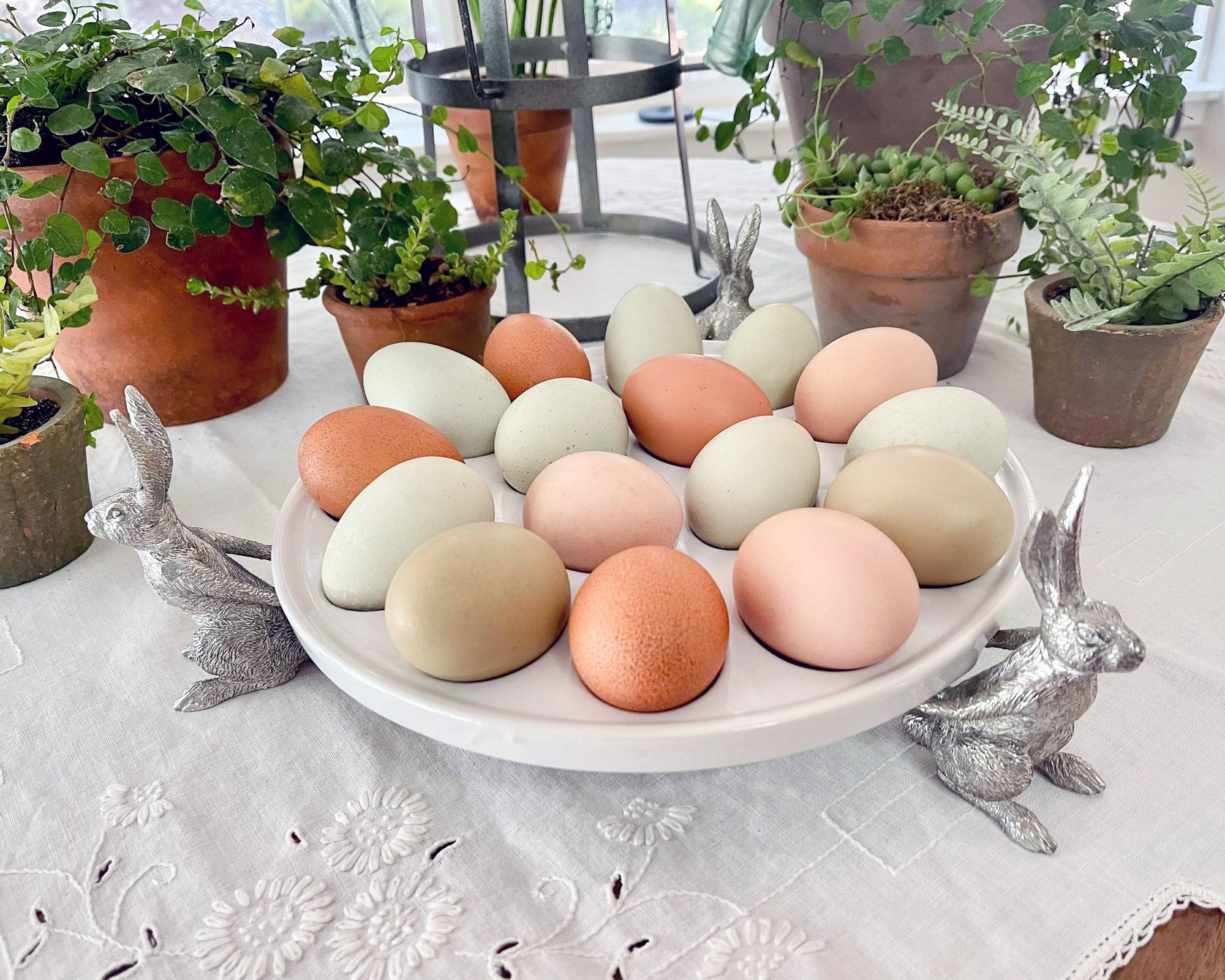 Vagabond House - Rabbit Deviled Egg Holder