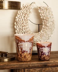 Baobab Candle Sacred Trees Candle Max 10