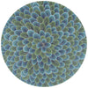 Tisch New York Blue Lady Amherst Feather Placemat