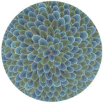 Tisch New York Blue Lady Amherst Feather Placemat