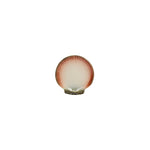Bordallo Pinheiro Oysters & Scallops Bread & Butter Plates (Sold Individually)