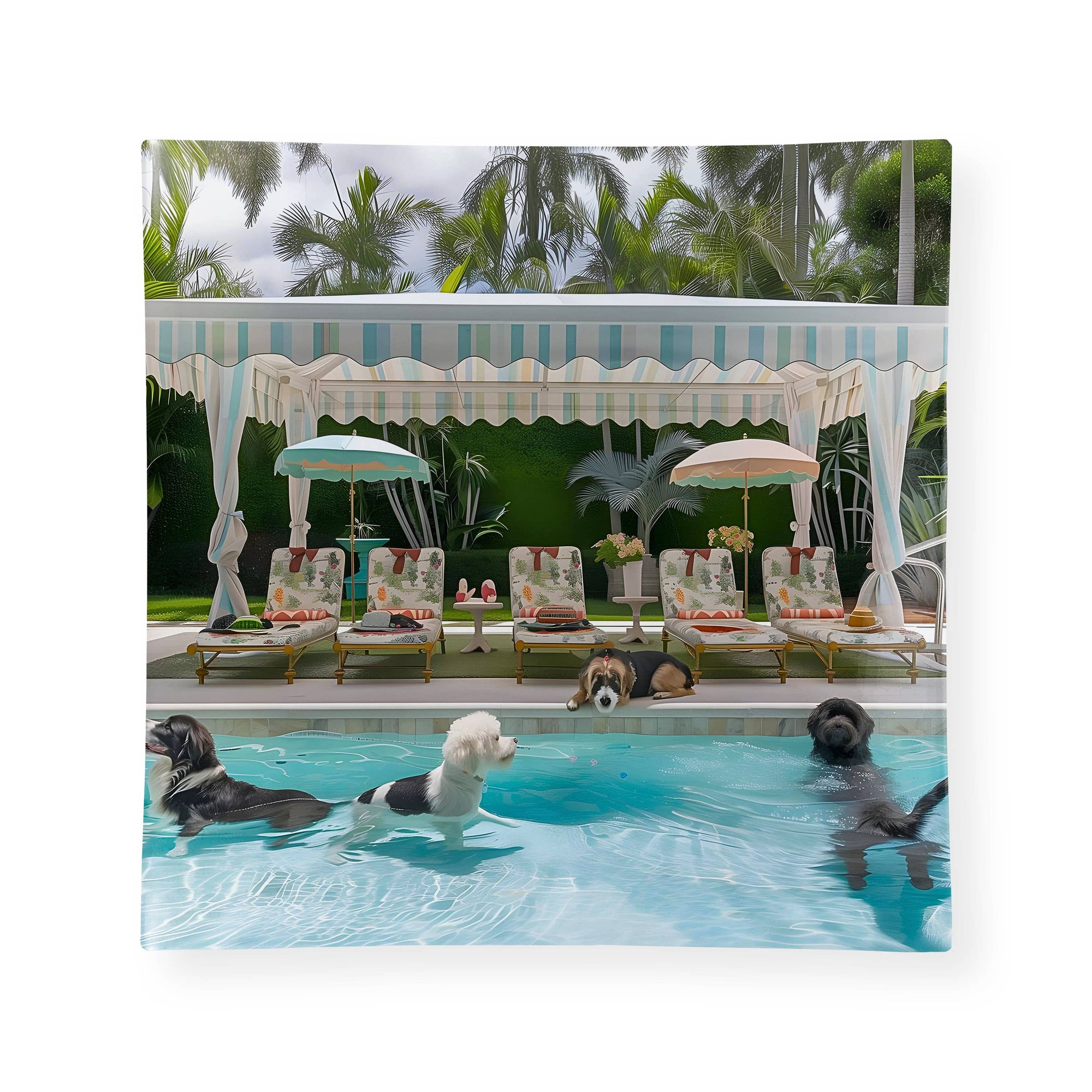 Toss Designs - Glass Trinket Tray/ Pool Dogs Wall Art
