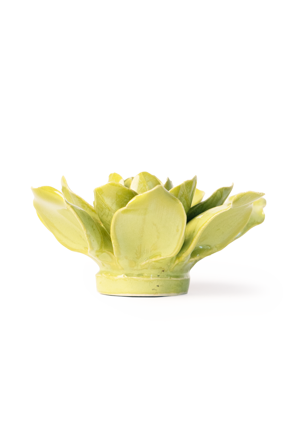 Chive English Garden Chartreuse Columbine