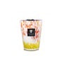 Baobab Scented Candle Eden Garden