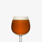 LSA International Pair of Bar Craft Beer Glass 19oz