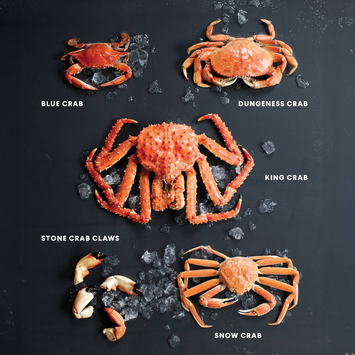 Penguin Random House LLC - Crab