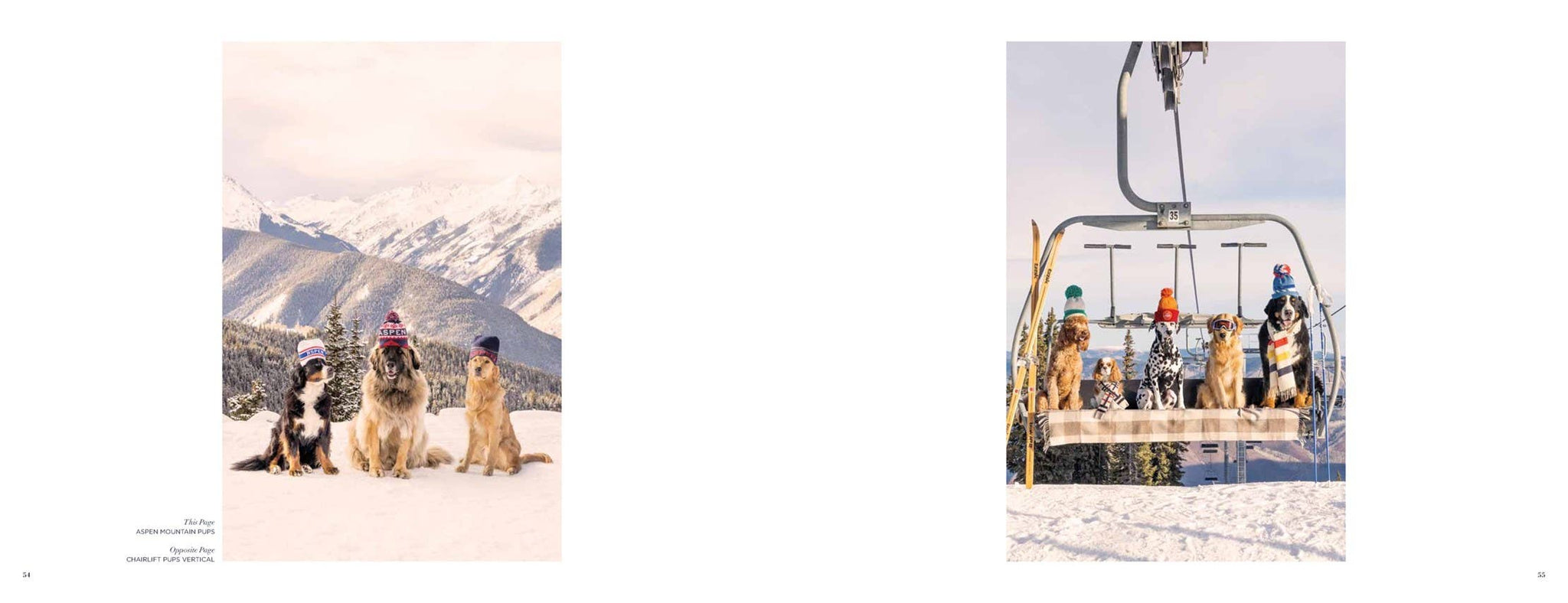 Abrams - Gray Malin: Dogs