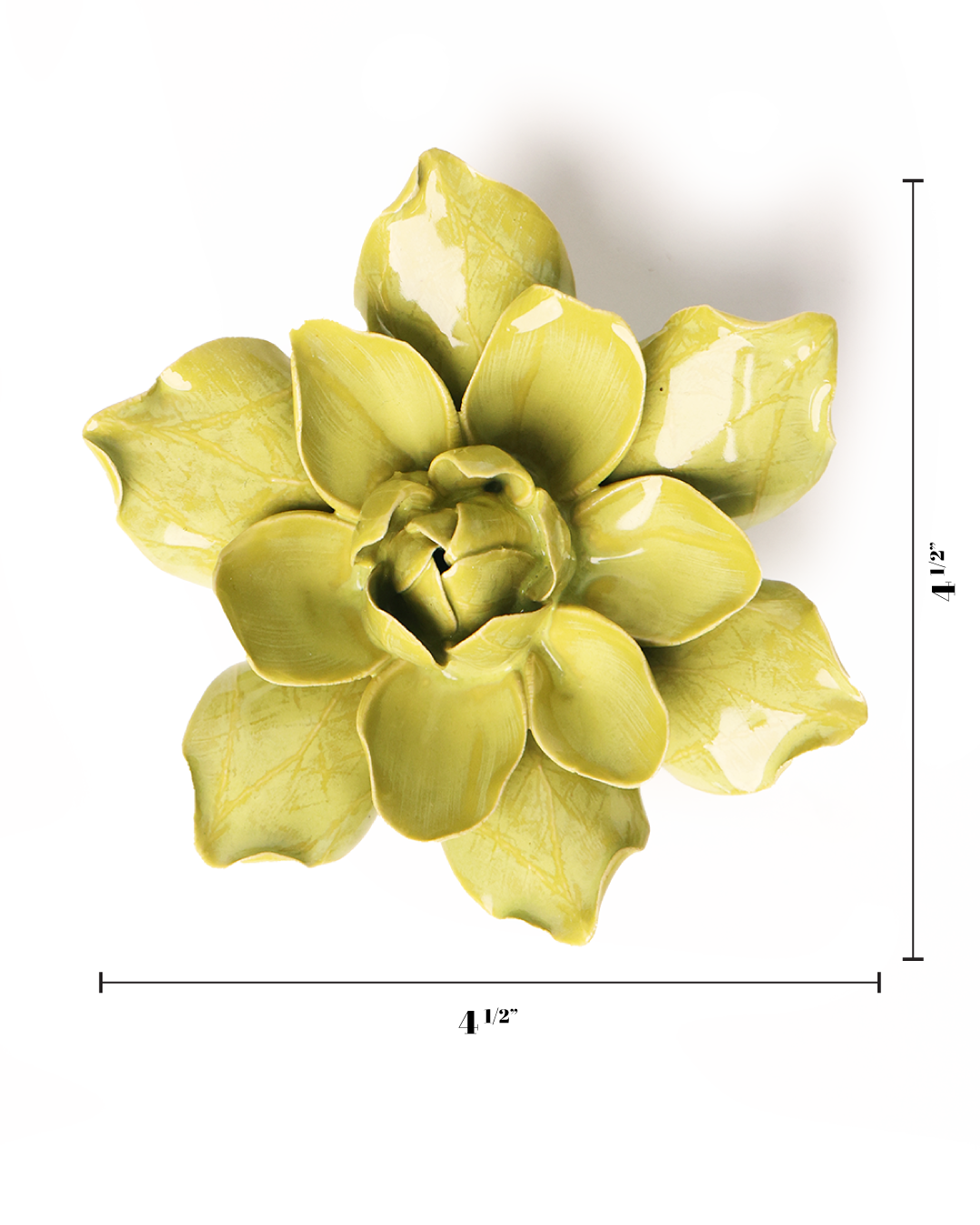 Chive English Garden Chartreuse Columbine