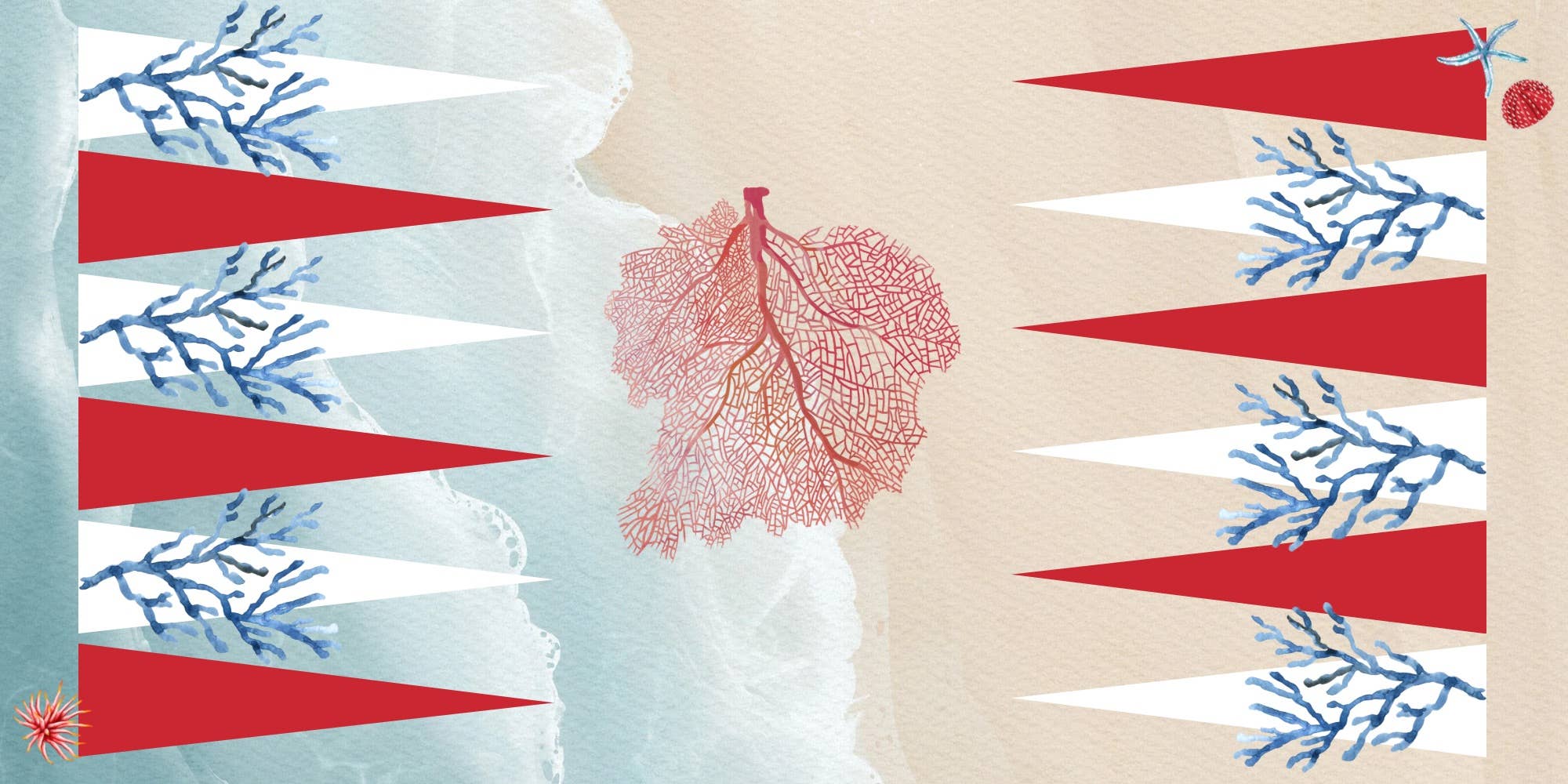 Maven Home - Game - Backgammon - Coral