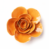Chive - Orange Elegance Ranunculus