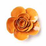 Chive - Orange Elegance Ranunculus