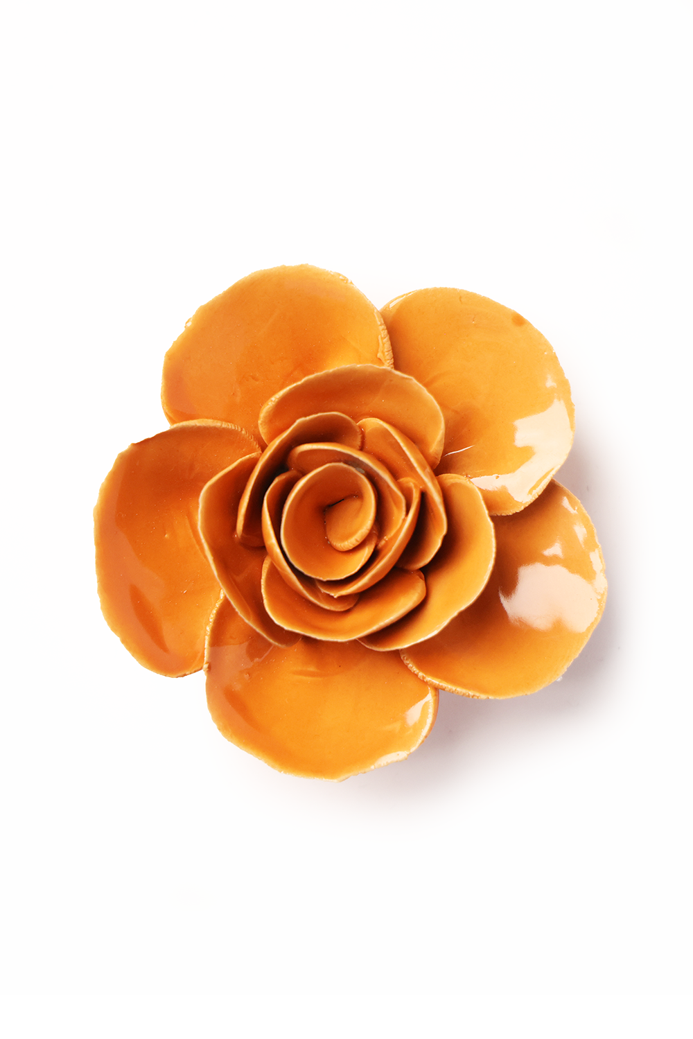 Chive - Orange Elegance Ranunculus