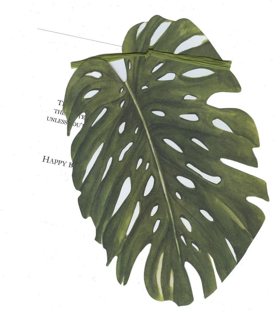 Stevie Streck Greeting Cards