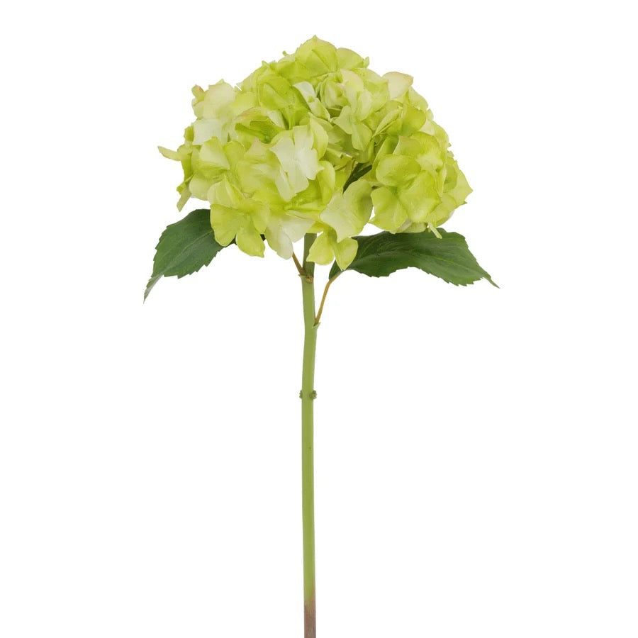 Winward Floral Hydrangea Stem 22"