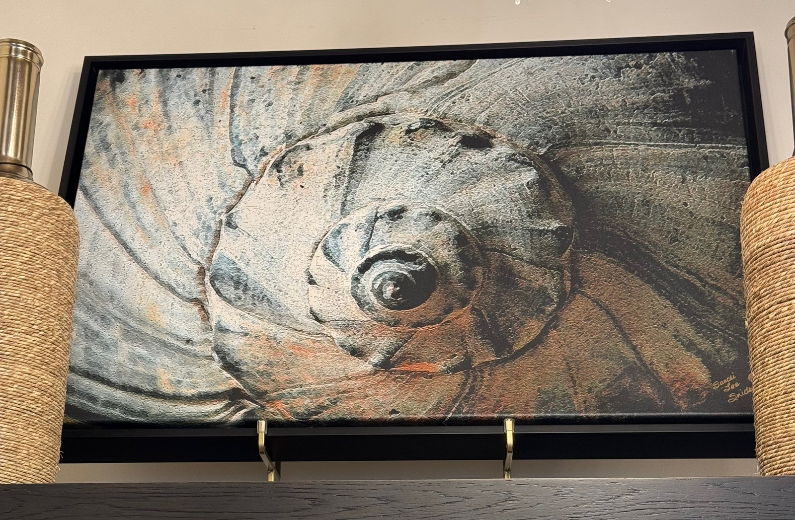 Shell Framed Professional Photograph