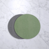 VIDA Snakeskin Reversible !5" Round Placemats Set of 4 Green and Gray