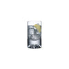 Shade Set of 2 Lowball Glasses
