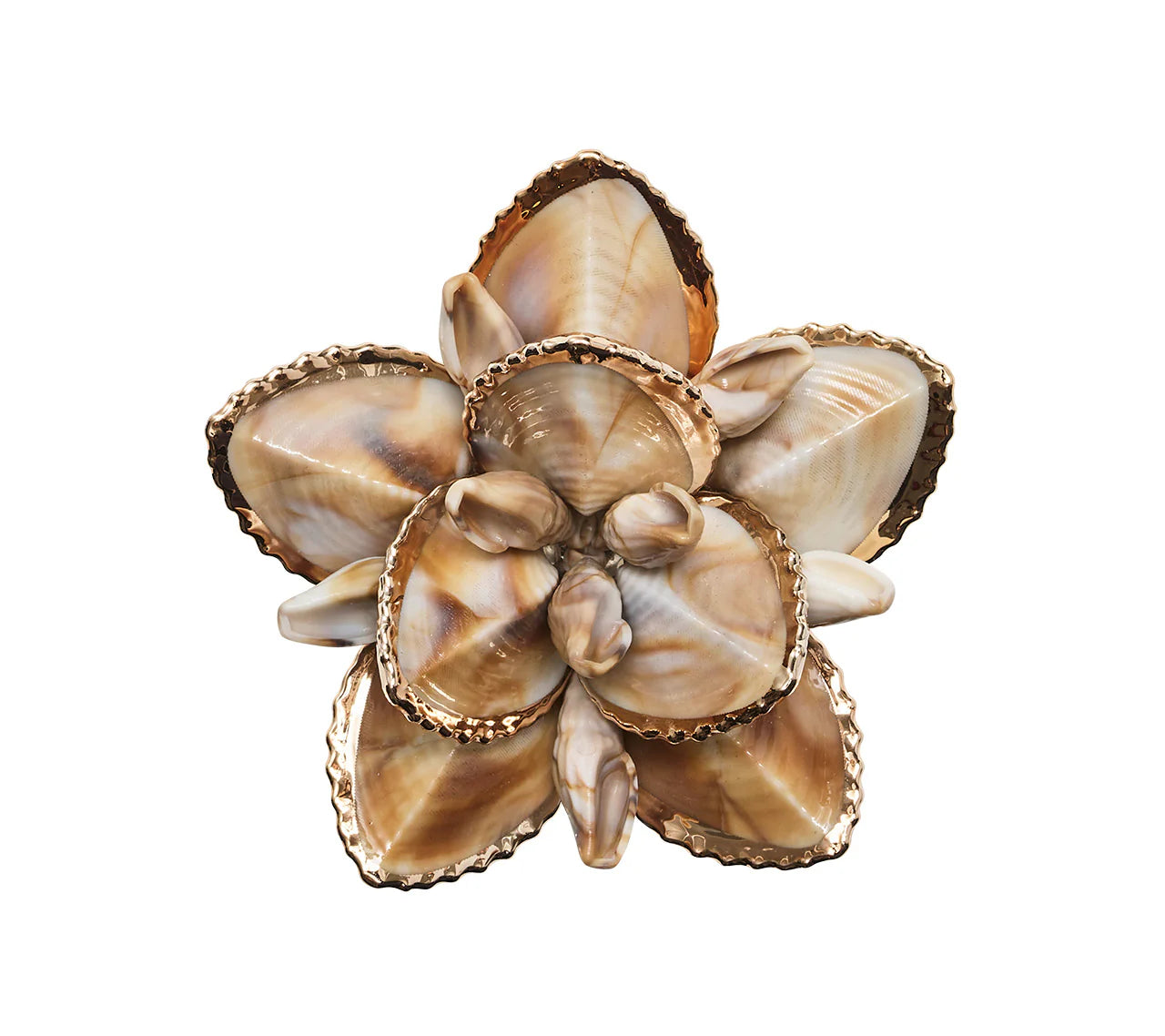 Kim Seybert Beachcomber Napkin Ring in Natural, S/4