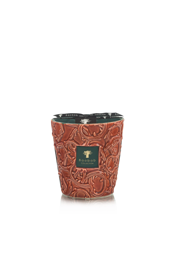 Baobab Brame Artemis