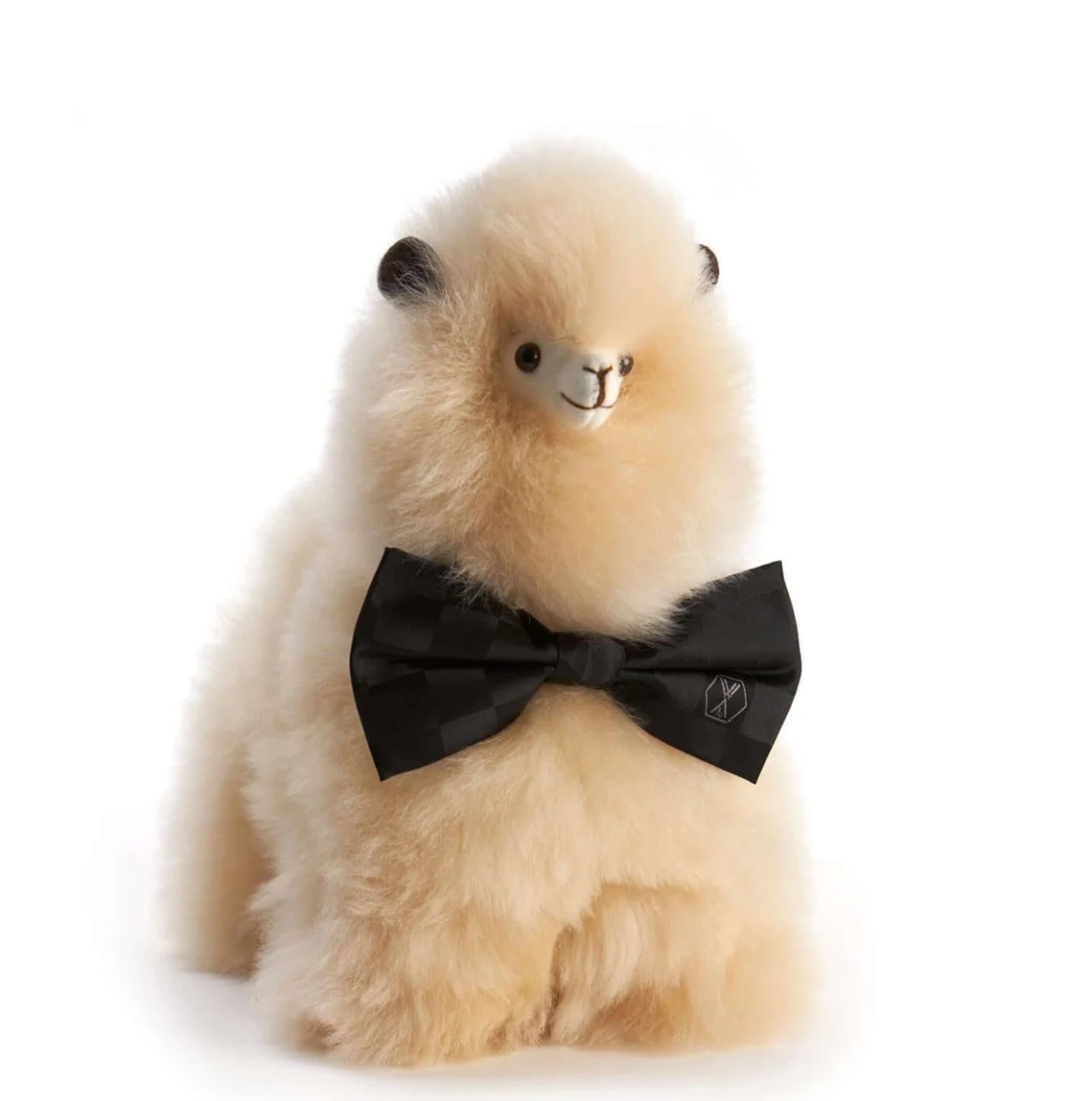 WEICH Alpaca Paco Medium (30x25)