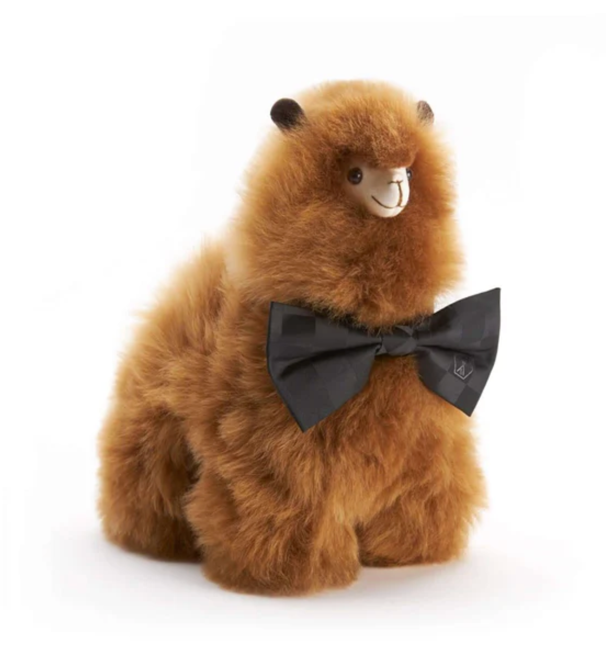 WEICH Alpaca Paco Medium (30x25)