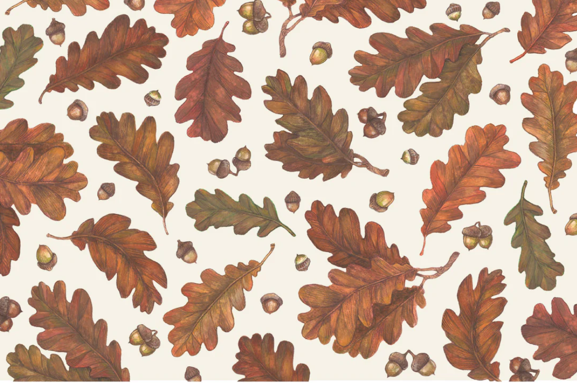 Hester and Cook Paper Placemats