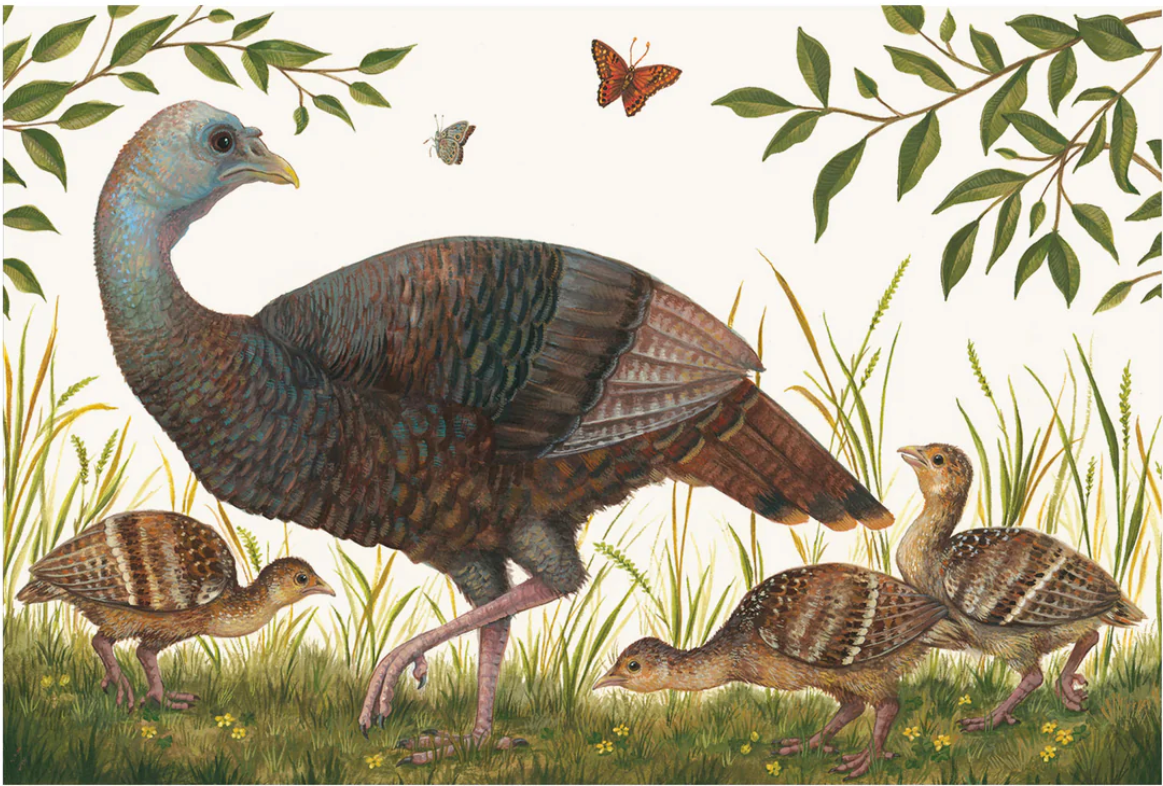 Hester and Cook Paper Placemats