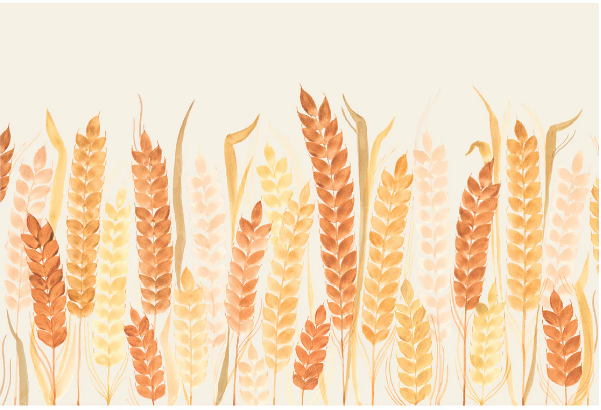 Hester and Cook Paper Placemats