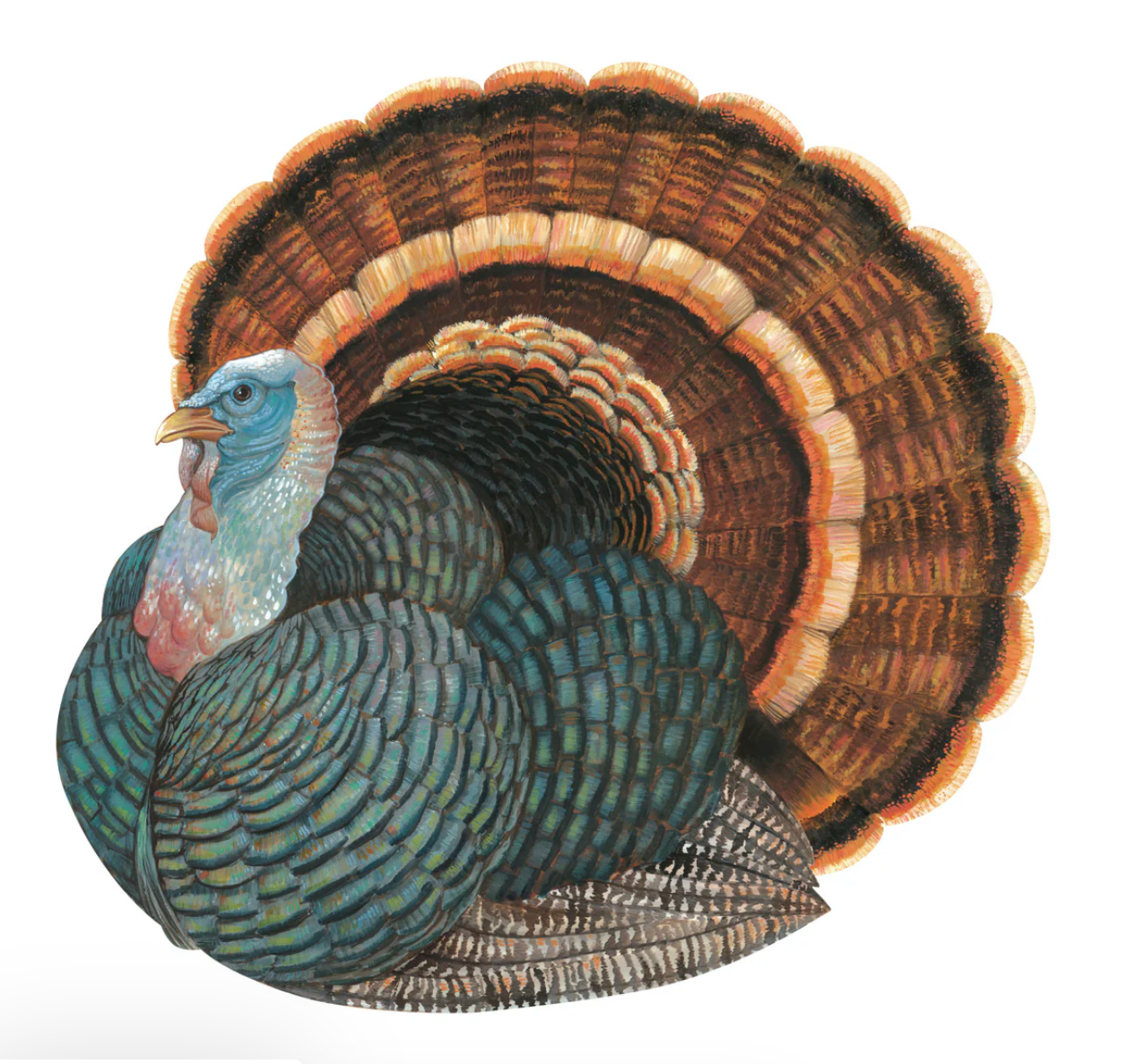 Hester and Cook Paper Placemats